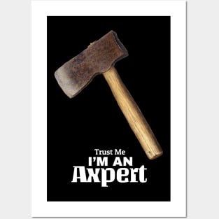 Trust me I'm an Axpert Posters and Art